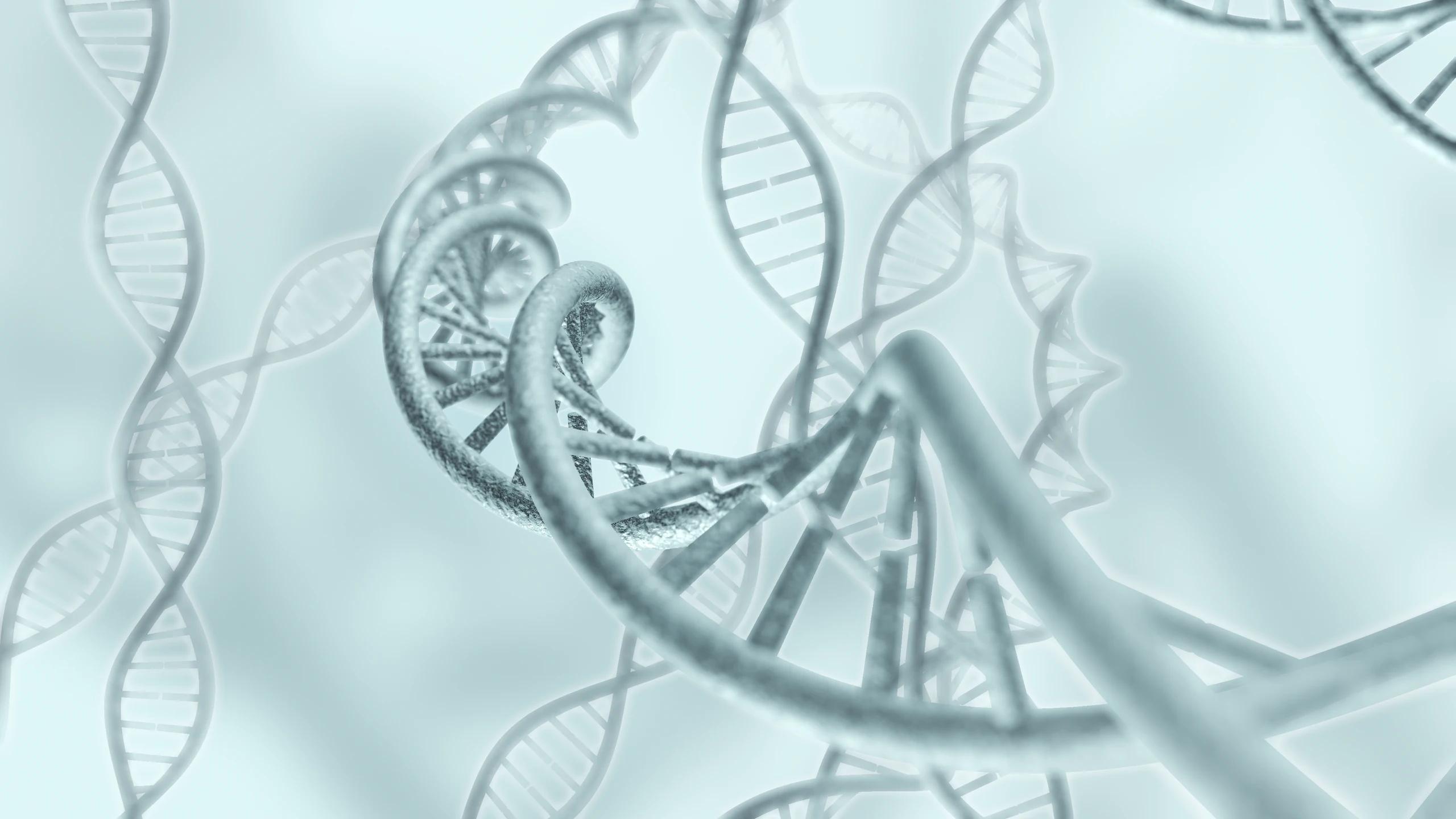 DNA double helix