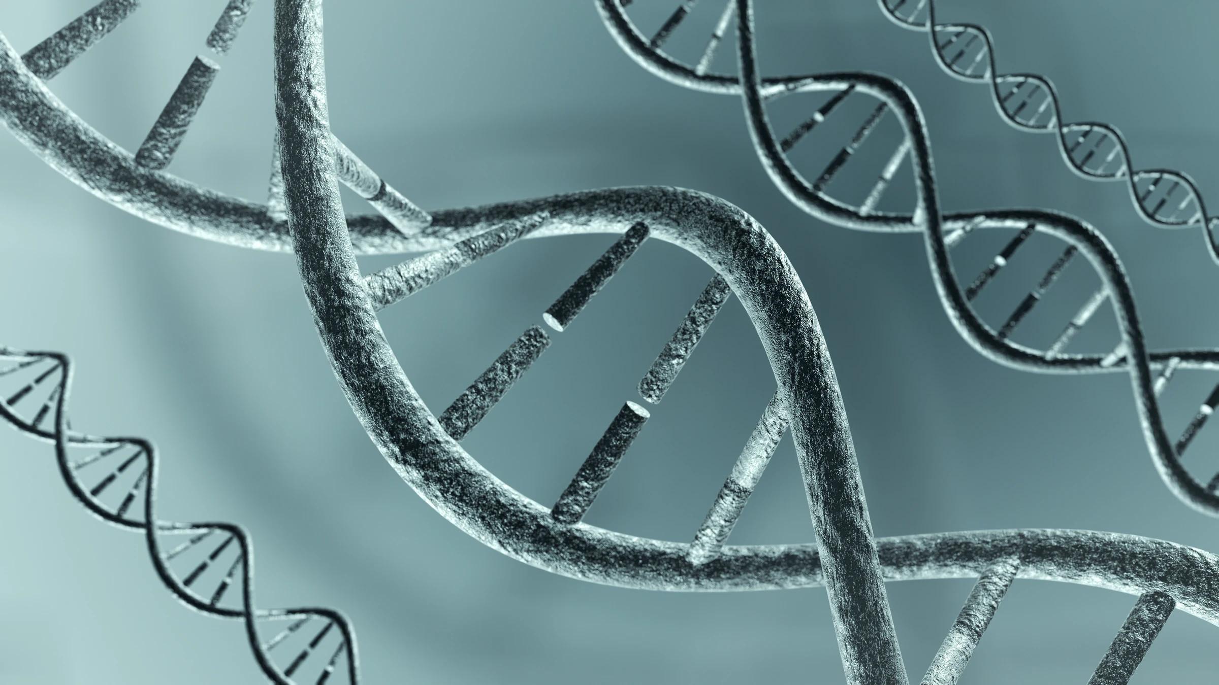 DNA double helix